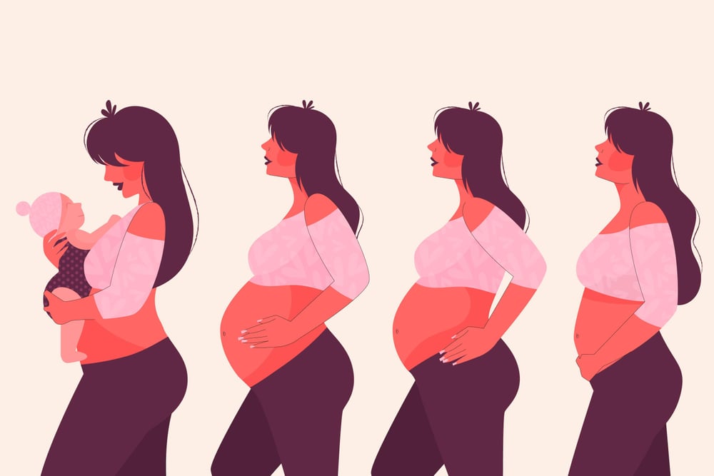 Purchase plan organized by trimesters for pregnancy and the first months